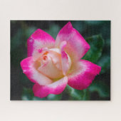 Hybrid Tea Roos Jigzaag Puzzle Legpuzzel (Horizontaal)