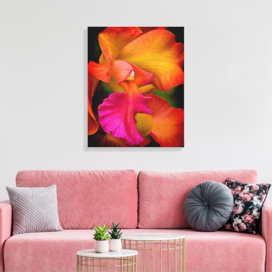 Hybride Cattleya Orchidee Canvas Print (Insitu (Woonkamer))