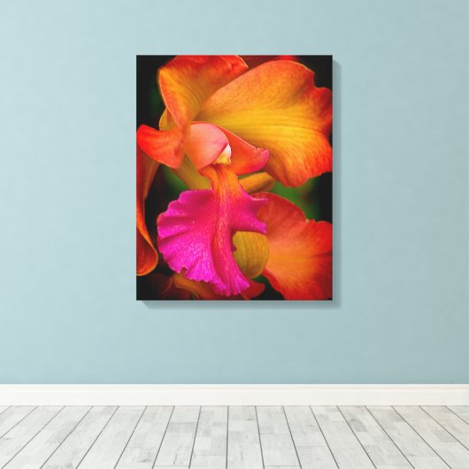 Hybride Cattleya Orchidee Canvas Print (Insitu (Houten vloer))
