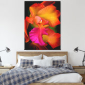 Hybride Cattleya Orchidee Canvas Print (Insitu (Slaapkamer))