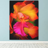Hybride Cattleya Orchidee Canvas Print (Insitu (Houten vloer))