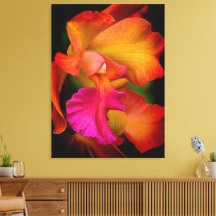 Hybride Cattleya Orchidee Canvas Print