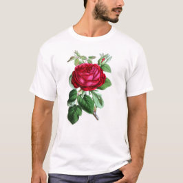 Hybride eeuwigdurend Roos, Lord Napier T-shirt