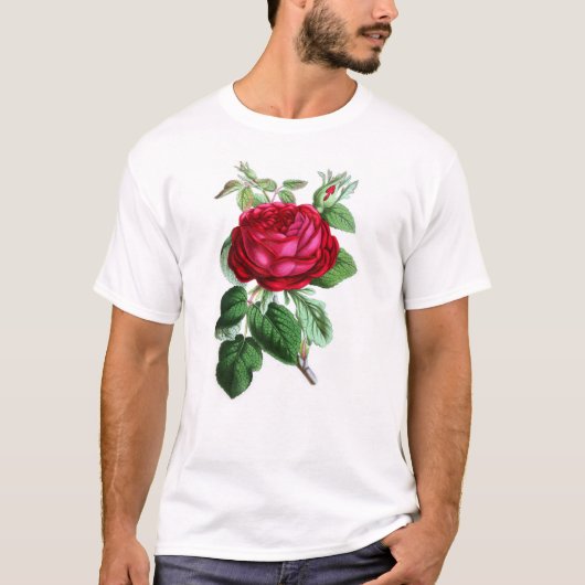 Hybride eeuwigdurend Roos, Lord Napier T-shirt (Voorkant)