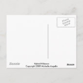 Hybride Hibiscus Briefkaart (Achterkant)