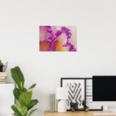Hybride orchidee close-up, Delray Beach, Florida Poster (Thuiskantoor)