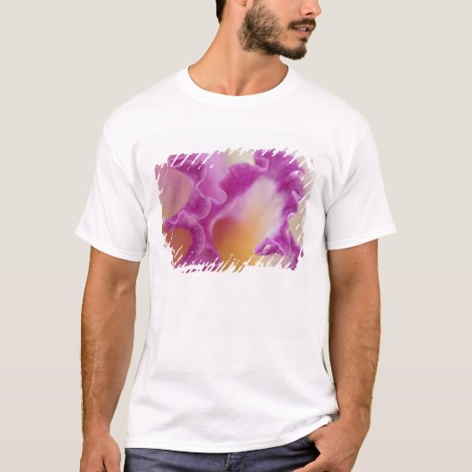 Hybride orchidee close-up, Delray Beach, Florida T-shirt (Voorkant)