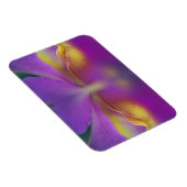 Hybride orchidee, Florida 2 Magneet (Rechterzijde)