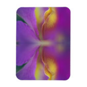 Hybride orchidee, Florida 2 Magneet (Verticaal)