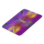 Hybride orchidee, Florida 2 Magneet (Linkerzijde)