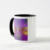 Hybride orchidee, Florida 2 Mok (Voorkant links)