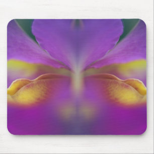 Hybride orchidee, Florida 2 Muismat