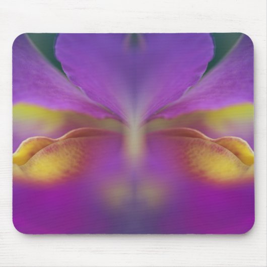 Hybride orchidee, Florida 2 Muismat (Voorkant)