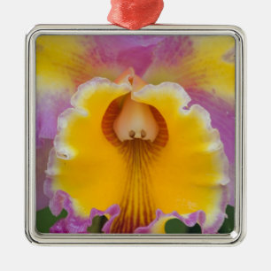 Hybride orchidee, Florida Metalen Ornament