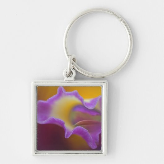 Hybride orchidee, Florida Sleutelhanger (Voorkant)