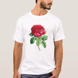 Hybride persistente Roos - Napoleon III T-shirt