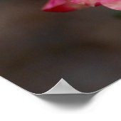 Hybride Roos Poster (Hoek)