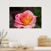 Hybride Roos Poster (Keuken)