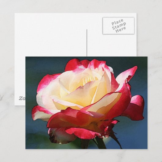 hybride roos van de "Dubbele Delight" thee Briefkaart (Voorkant / Achterkant)