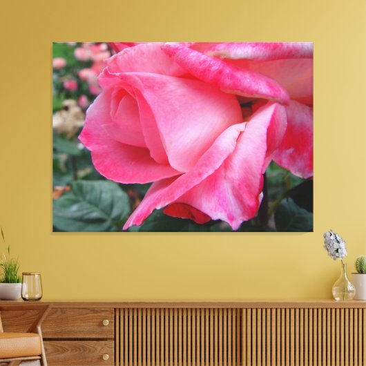 Hybride Tea Roos Barbara Struik op Canvas (Insitu (Woonkamer))