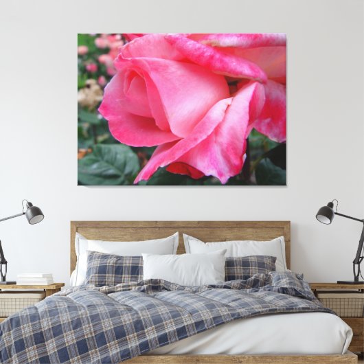Hybride Tea Roos Barbara Struik op Canvas (Insitu (Slaapkamer))