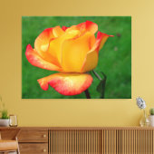 Hybride Tea Roos Rio Samba op Canvas (Insitu (Woonkamer))