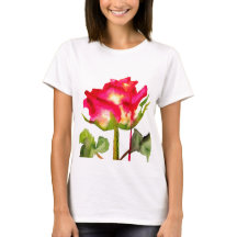 Hybride thee Roos waterverf moderne bloemkunst