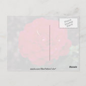 Hybride theewijn Roos "Mister Lincoln" Witte bloem Briefkaart (Achterkant)