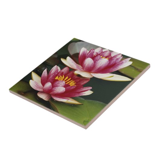 Hybride waterlappen tegeltje (Zijkant)