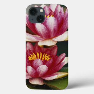 Hybride waterlelies iPhone 13 hoesje