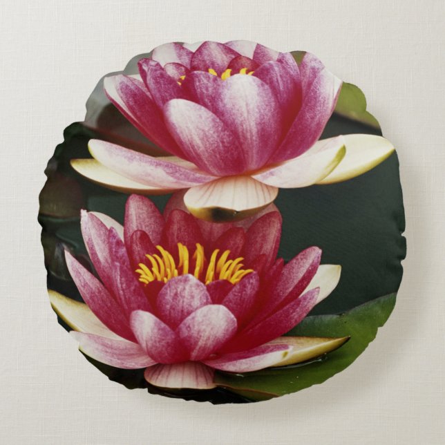 Hybride waterlelies rond kussen (Voorkant)