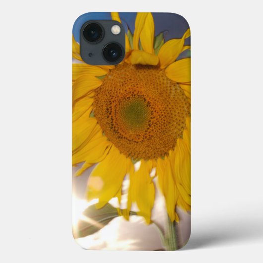 Hybride zonnebloem die bij zonsondergang in de win Case-Mate iPhone case (Achterkant)