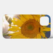 Hybride zonnebloem die bij zonsondergang in de win Case-Mate iPhone case (Achterkant (horizontaal))