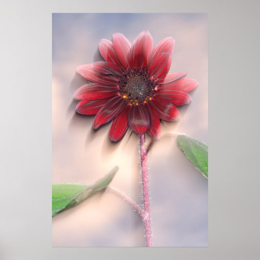 Hybride zonnebloem die in de wind waait poster (Voorkant)