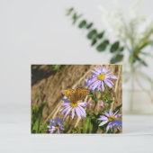 Hydaspe Fritillary op paarse Aster bloemen Briefkaart (Staand voorkant)