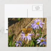 Hydaspe Fritillary op paarse Aster bloemen Briefkaart (Voorkant / Achterkant)
