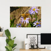 Hydaspe Fritillary op paarse Aster bloemen Poster (Thuiskantoor)