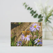 Hydaspe Fritillary op Paarse Aster Flowers Briefkaart (Staand voorkant)