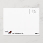 Hydaspe Fritillary op Paarse Aster Flowers Briefkaart (Achterkant)