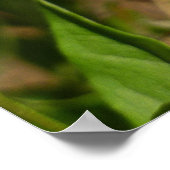 Hydaspe Fritillary op Paarse Aster Flowers Poster (Hoek)