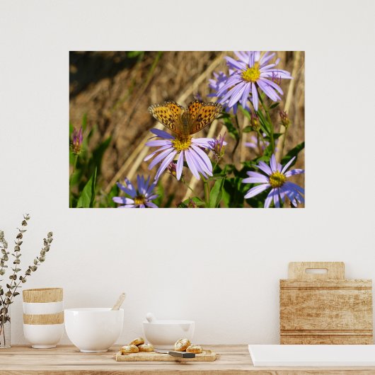 Hydaspe Fritillary op Paarse Aster Flowers Poster (Keuken)