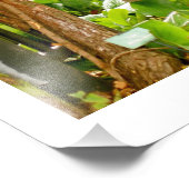 Hyde Park - Park Bench Foto Afdruk (Hoek)