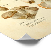 Hydnum Brown-paddenstoelen Kunst drukken Frans Poster (Hoek)