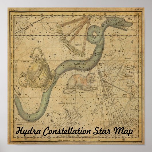 Hydra Constellation Star Map  Astronomie Poster (Voorkant)