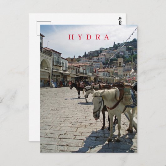 Hydra eilandpaarden uitzicht briefkaart (Voorkant / Achterkant)