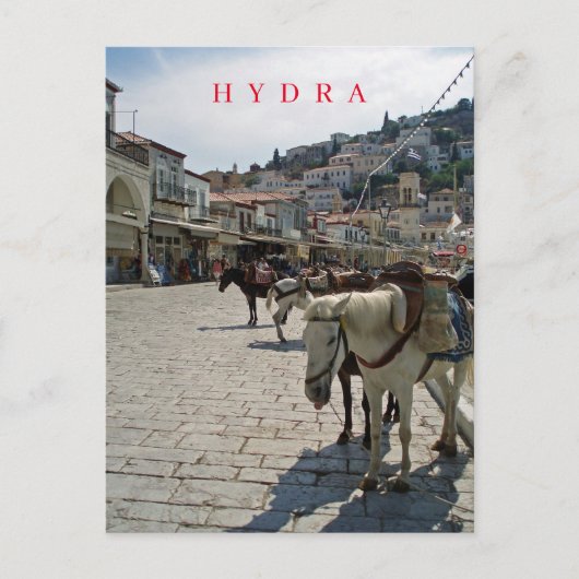Hydra eilandpaarden uitzicht briefkaart (Voorkant)