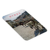 Hydra eilandpaarden uitzicht koelkastmagneet magneet (Rechterzijde)