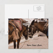 Hydra Island, Griekenland Briefkaart (Voorkant / Achterkant)