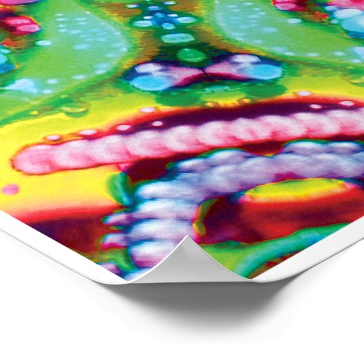 Hydra Kinetic Collage Kaleidoscope Poster (Hoek)