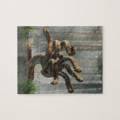 Hydra Legpuzzel (Horizontaal)